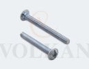 V631 Kulp Vidaları (M 4 x 70)